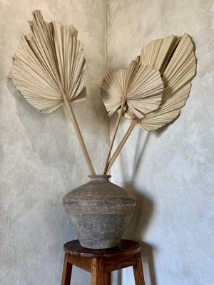 Adult Club Vienna (Amsterdam, Netherlands)