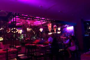 Bar Circo