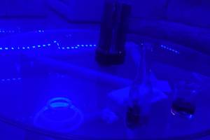 Blue Light