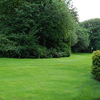 Boccaccio (Amsterdam, Netherlands)