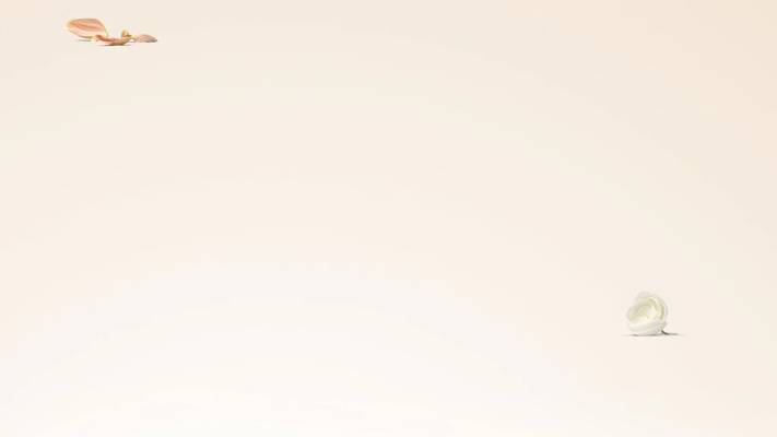 Body Spa Services (Mumbai, India)