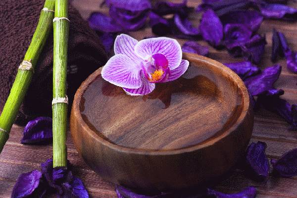 Erotické Masáže Matahari Salon (Prague, Czechia)