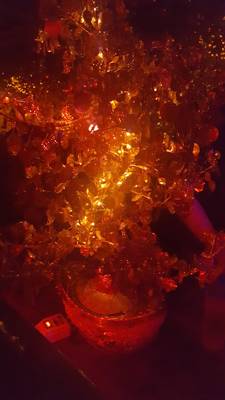 Friedas Büxe (Zurich, Switzerland)