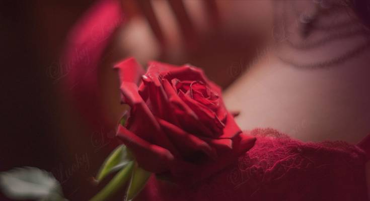 Luckymassage (Bucharest, Romania)