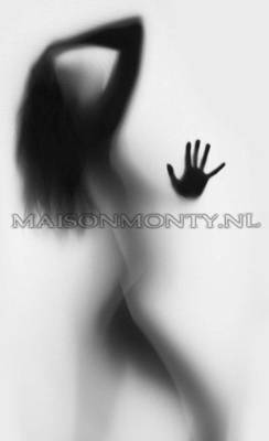 Maison Monty Privehuis (The Hague, Netherlands)