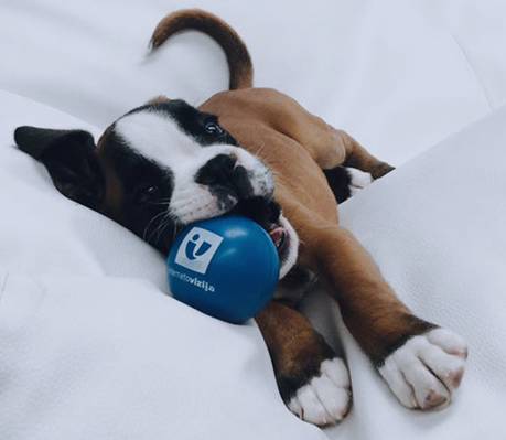 Mazzor Night Club (Vilnius, Lithuania)