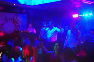 Music Live Zio Nino