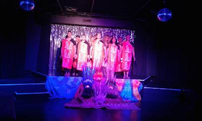 Phoenix Cabaret (Auckland, New Zealand)