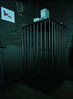 Playgirls (Bern, Switzerland)