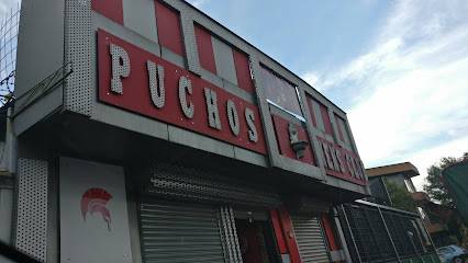 Puchos (San José, Costa Rica)