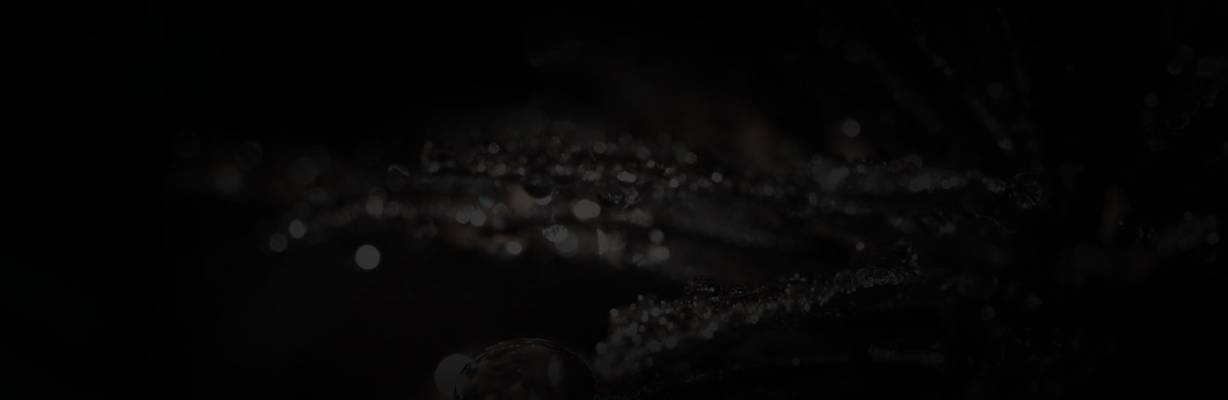 Puschkin Lounge Bar (Zurich, Switzerland)