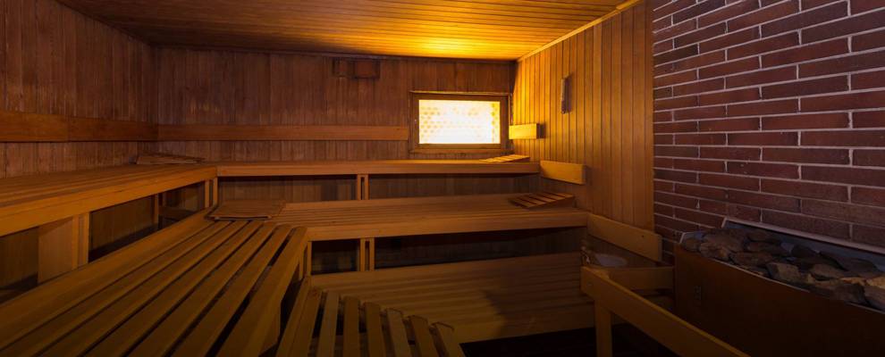 Sauna Horn (Bern, Switzerland)