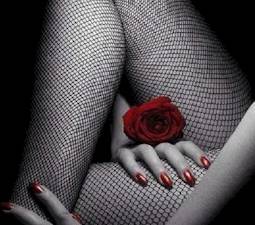 Secret Minds Adventures (The Hague, Netherlands)