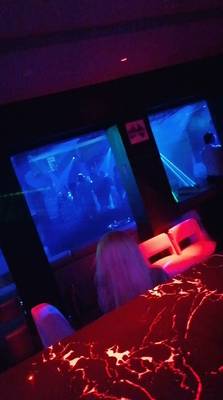 Single Night Club (Abidjan, Ivory Coast)