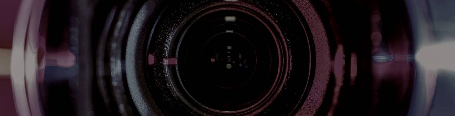 Swingeroase Zwiespalt (Berlin, Germany)