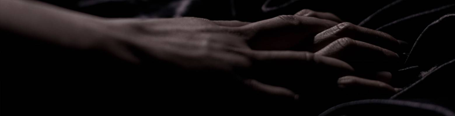 Swingeroase Zwiespalt (Berlin, Germany)