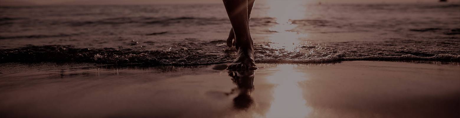 Swingeroase Zwiespalt (Berlin, Germany)