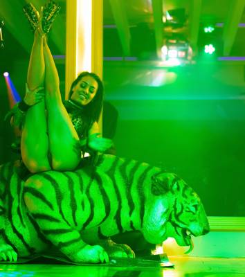 The Firm (Adelaide, Australia)