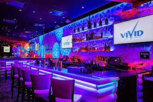 Vivid Cabaret