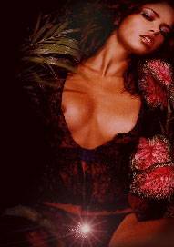 Wunschzimmer Berlin (Berlin, Germany)